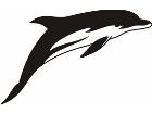  Dolphin 1 1 8a Decal