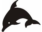  Dolphin 1 2 4a Decal