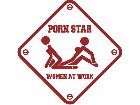  Porn Star Women Working Decal
