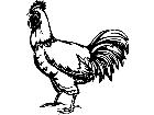  Rooster 1 3 8 V A 1 Decal
