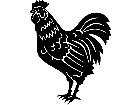  Rooster 1 3 9 V A 1 Decal