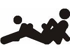  Sex Position 1 3 Decal