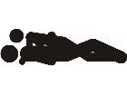  Sex Position 1 7 Decal