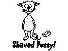  Shaved Pussy Decal