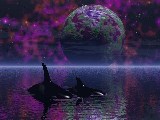Free Graphic Wallpaper