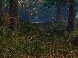 Free Graphic Wallpaper