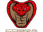  Cobra Mustang Frontal C L 1 Decal