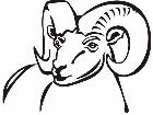  Domestic Animals Ram 0 1 P A 1 Decal