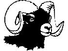  Domestic Animals Ram 0 2 P A 1 Decal
