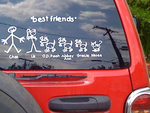 Customers Ride