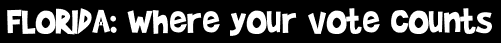 FLORIDA: Where your vote counts