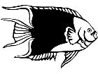  Angel Fish 1 4 0 V A 1 Decal