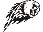  Animal Flames Panther 0 8 3b A F 1 Decal