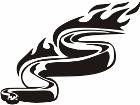  Animal Flames Snake 0 6 4b A F 1 Decal