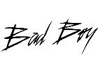  Bad Boy 2 1 2 V A 1 Decal