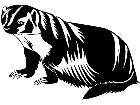  Badger 1 4 5 V A 1 Decal