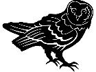  Barn Owl 1 3 9 V A 1 Decal