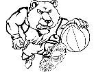  Basketball Bear Cub M B 1 Decal
