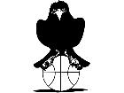  Basketball Crow Bird M B 1 Decal