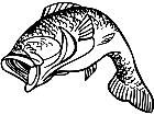  Bass Wide Mouth Decal