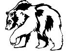  Bear Grizzly Decal