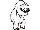  Bear Grizzly Animal Wild 0 3 0a Decal