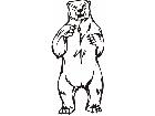  Bear Grizzly Animal Wild 0 3 5a Decal