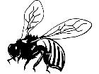  Bee Wasp Real Decal