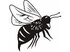  Bee 0 8 4 Decal