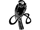  Bird Parrot Twist Decal