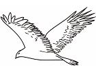  Birds Misc 1 8 2 Decal