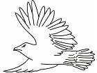  Birds Misc 1 8 3 Decal