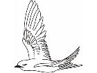  Birds Misc 1 8 4 Decal