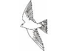  Birds Misc 1 8 6 Decal