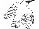  Birds Misc 1 8 9 Decal