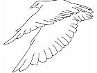  Birds Misc 1 9 0 Decal