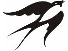  Birds Misc 1 9 7 Decal