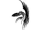  Birds Tribals 1 3 1 3 0 V A 1 Decal