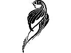  Birds Tribals 1 7 1 3 0 V A 1 Decal