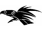  Birds Tribals 2 6 1 3 0 V A 1 Decal