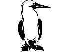  Birds Blue Footed Boobie P A 1 Decal