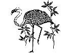  Birds Flamigo 1 2 9 V A 1 Decal