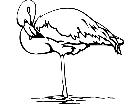  Birds Flamingo P A 1 Decal