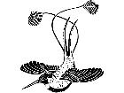  Birds Hummingbird 1 2 9 V A 1 Decal