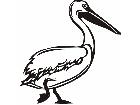  Birds Pelican P A 1 Decal