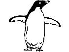 Birds Penguin P A 1 Decal