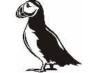  Birds Puffin P A 1 Decal