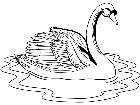  Birds Swan T G P A 1 Decal
