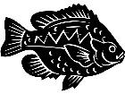  Blue Gill Fish 1 4 1 V A 1 Decal