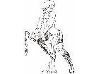  Bondage Dominance Sadism Masochism Sexy 0 3 1 Decal